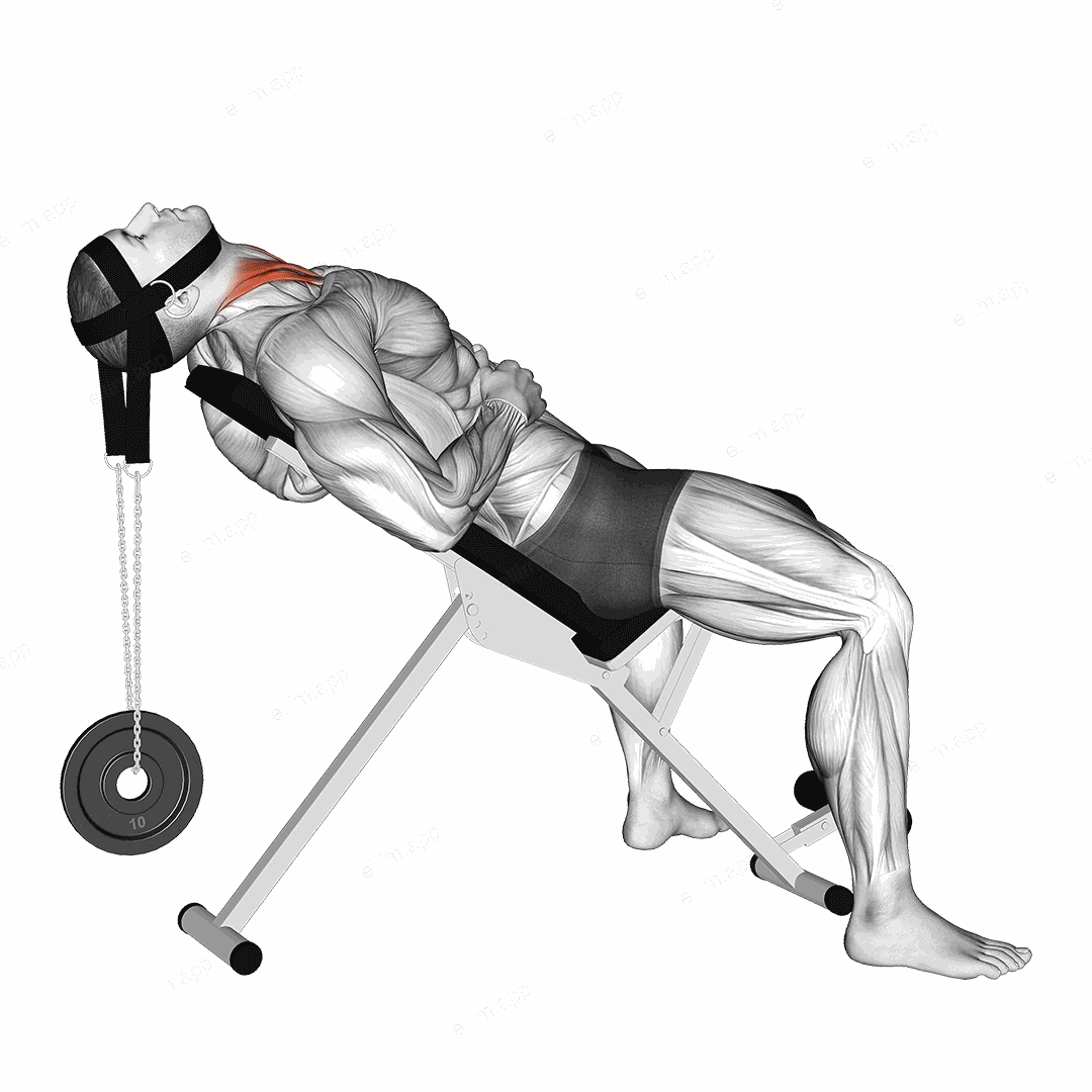 Weighted Lying Neck Flexion (with head harness) exercise targeting Neck
