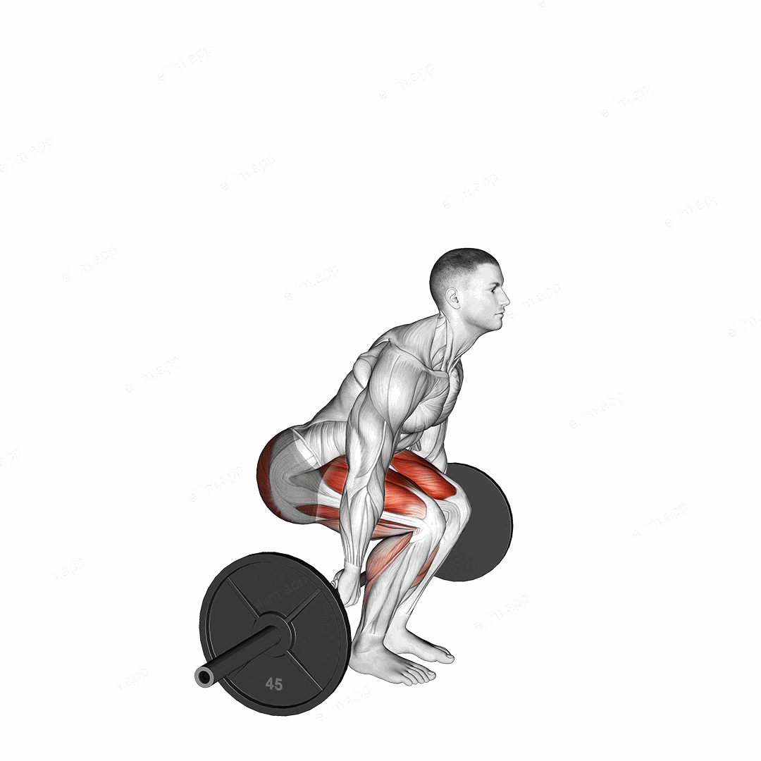 Barbell Behind The Back Deadlift exercise targeting Hips
