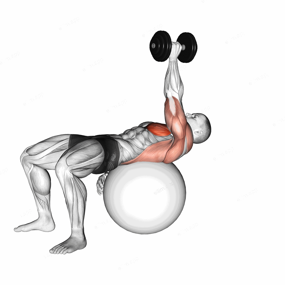 Dumbbell One Arm Pullover on Exercise Ball exercise targeting Chest and Pectoralis Major Sternal Head
