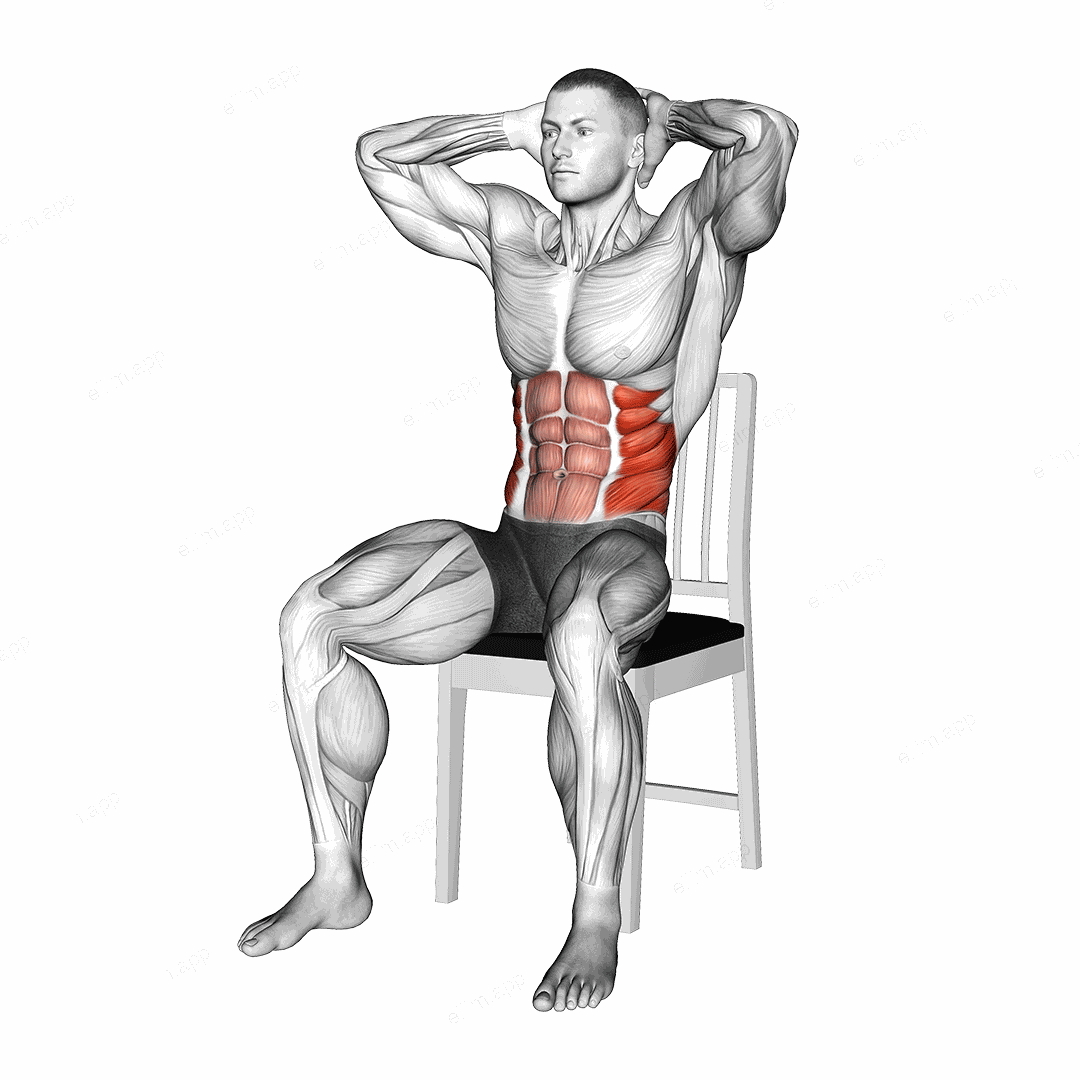 Seated Upright Twists on a Chair exercise targeting Waist
