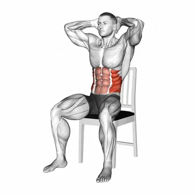 Seated Upright Twists on a Chair exercise targeting Waist