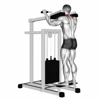 Lever Gripless Shrug exercise targeting Back and Trapezius Upper Fibers