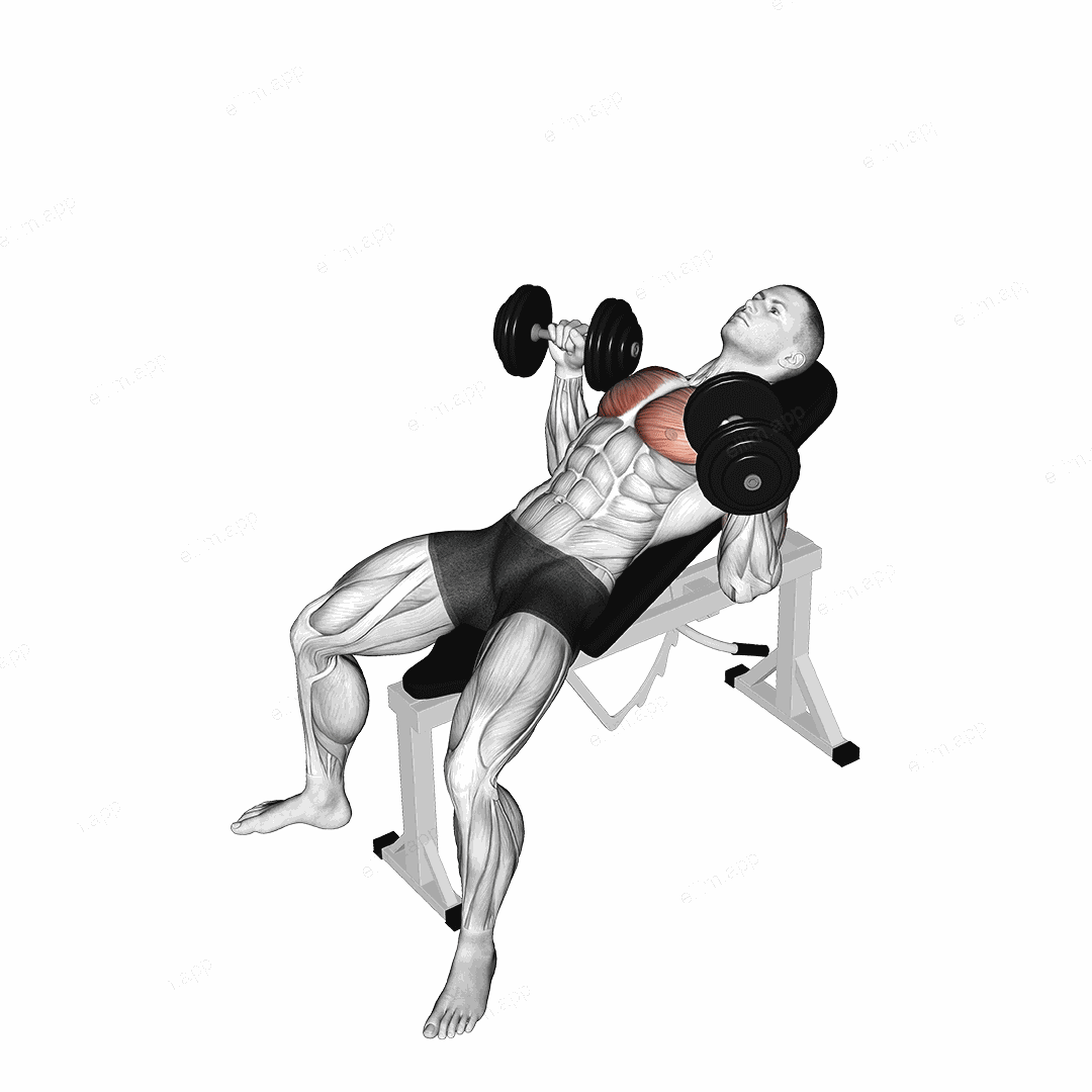 Dumbbell Incline Bench Press exercise targeting Chest and Pectoralis Major Clavicular Head