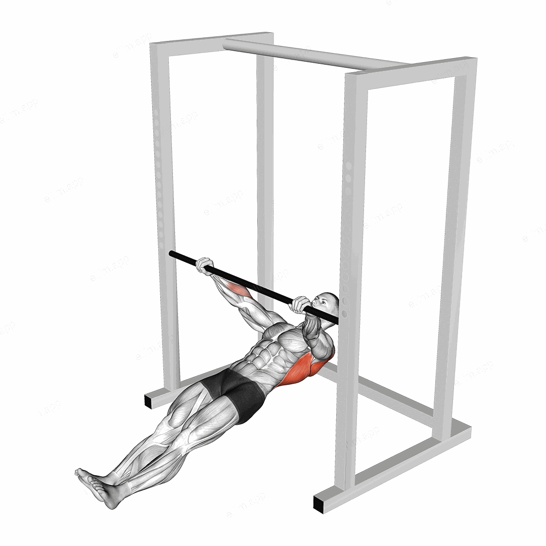Inverted Wide Row exercise targeting Back and Latissimus Dorsi