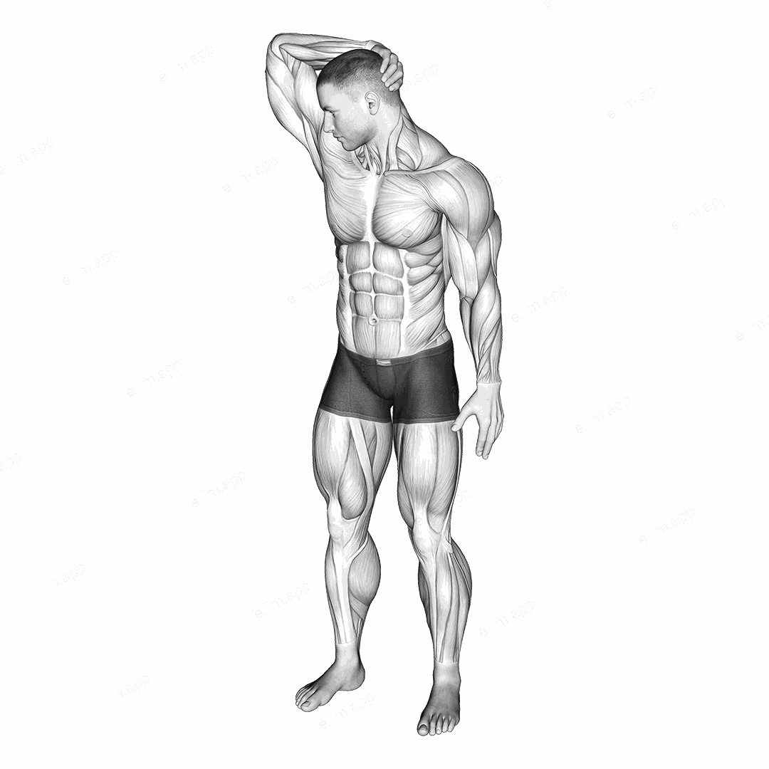 Neck Extensor And Rotational Stretch exercise targeting Neck