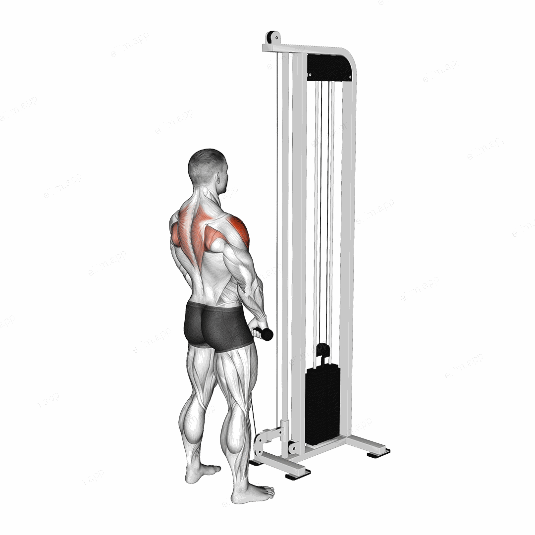 Cable High Pull with Rope Attachment exercise targeting Shoulders
