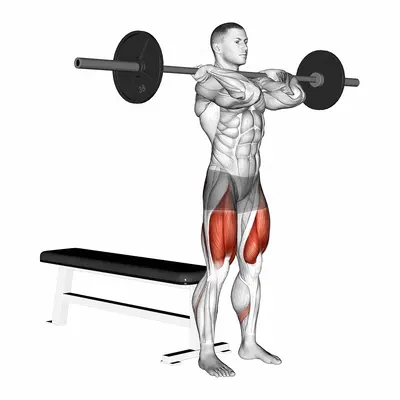 Barbell Front Bench Squat exercise targeting Thighs and Gluteus Maximus