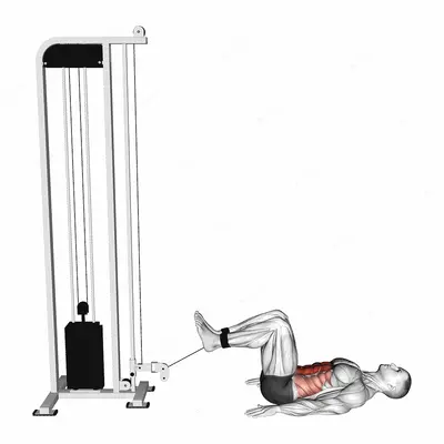 Cable Reverse Crunch exercise targeting Waist and Rectus Abdominis