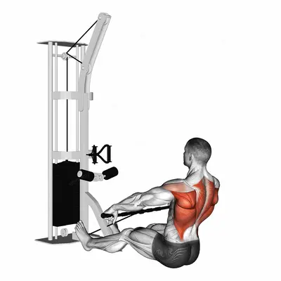 Cable Floor Seated Wide grip Row exercise targeting Back