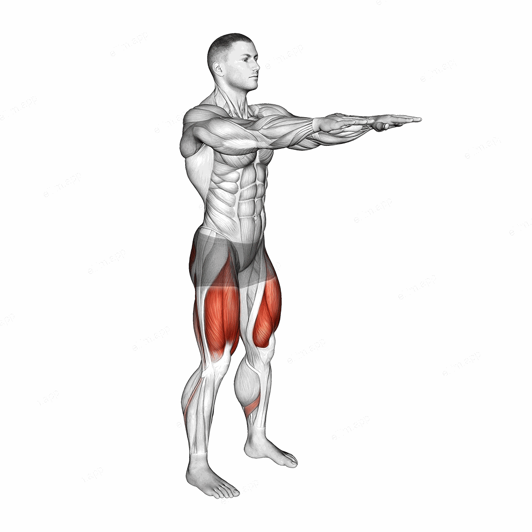 Bodyweight Slow To Explosive Squats exercise targeting Hips