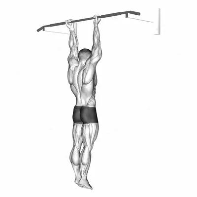 Supination Bar Suspension Stretch exercise targeting Upper Arms