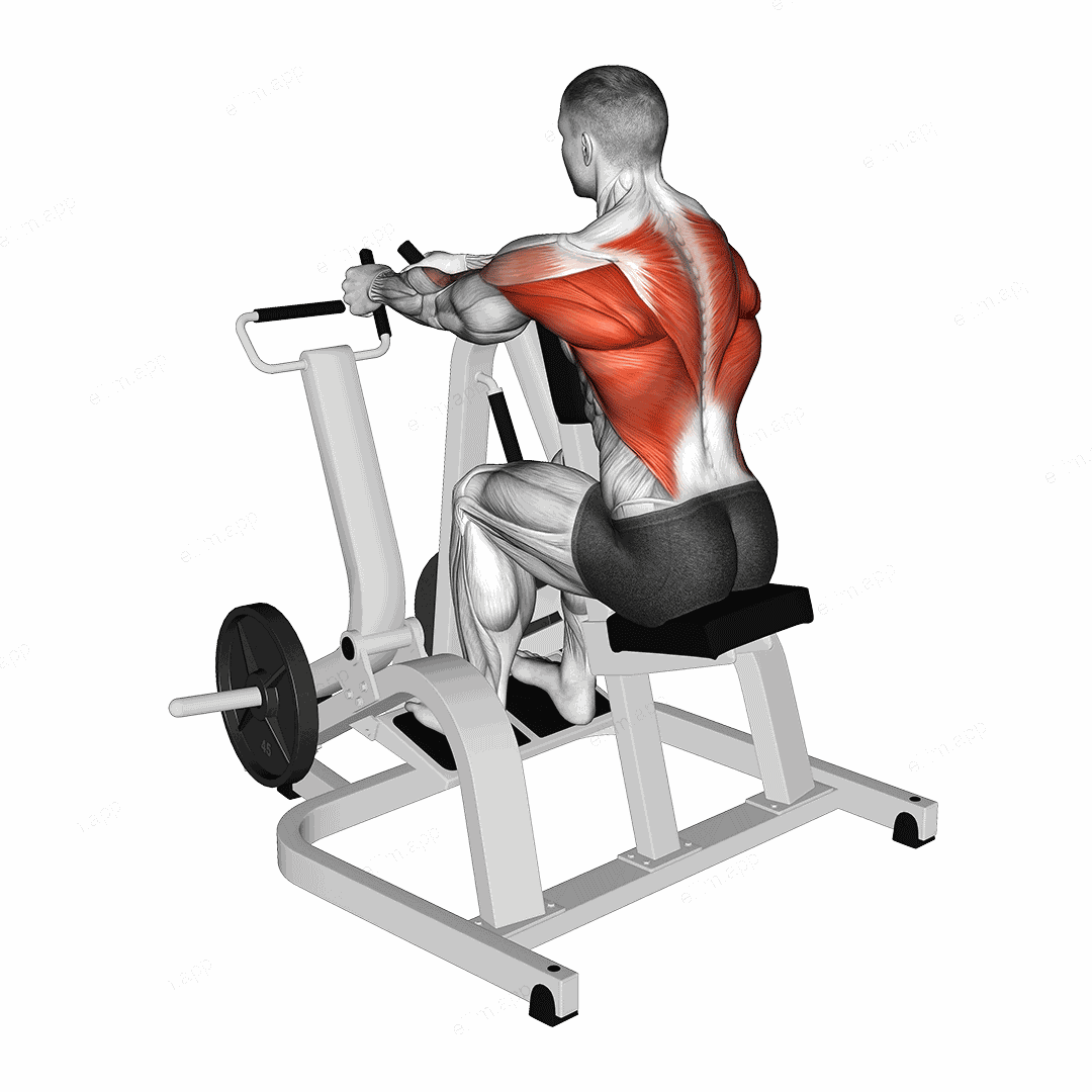 Lever Neutral Grip Seated Row (plate loaded) exercise targeting Back and Infraspinatus