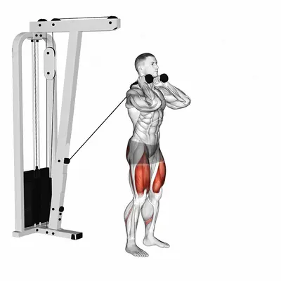 Cable Forward Lunge exercise targeting Thighs and Gluteus Maximus