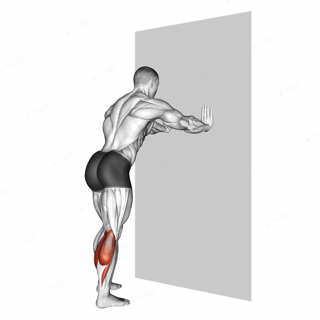 Calf Stretch With Hands Against Wall exercise targeting Calves and Gastrocnemius
