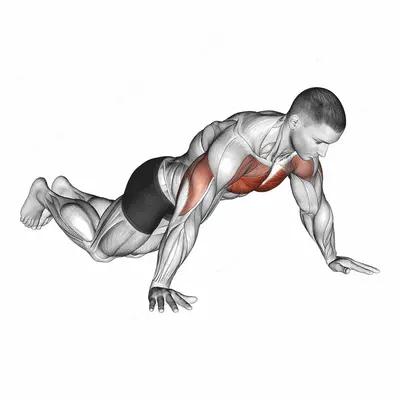 Kneeling Wide Hand Push Up exercise targeting Chest