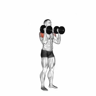 Dumbbell W press exercise targeting Shoulders