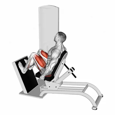 Lever Seated Horizontal Leg Press exercise targeting Gluteus Maximus and Quadriceps