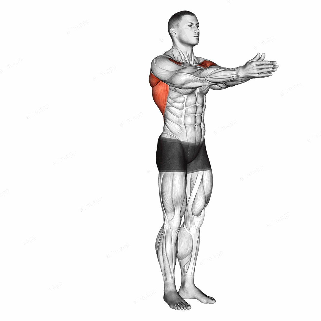 Dynamic Chest Stretch exercise targeting Chest and Pectoralis Major Clavicular Head