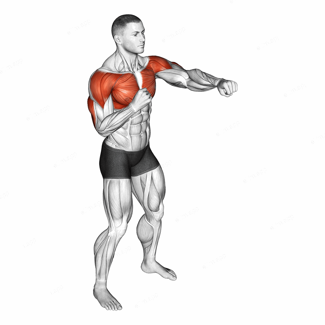 Alternate Punching exercise targeting Chest and Shoulders