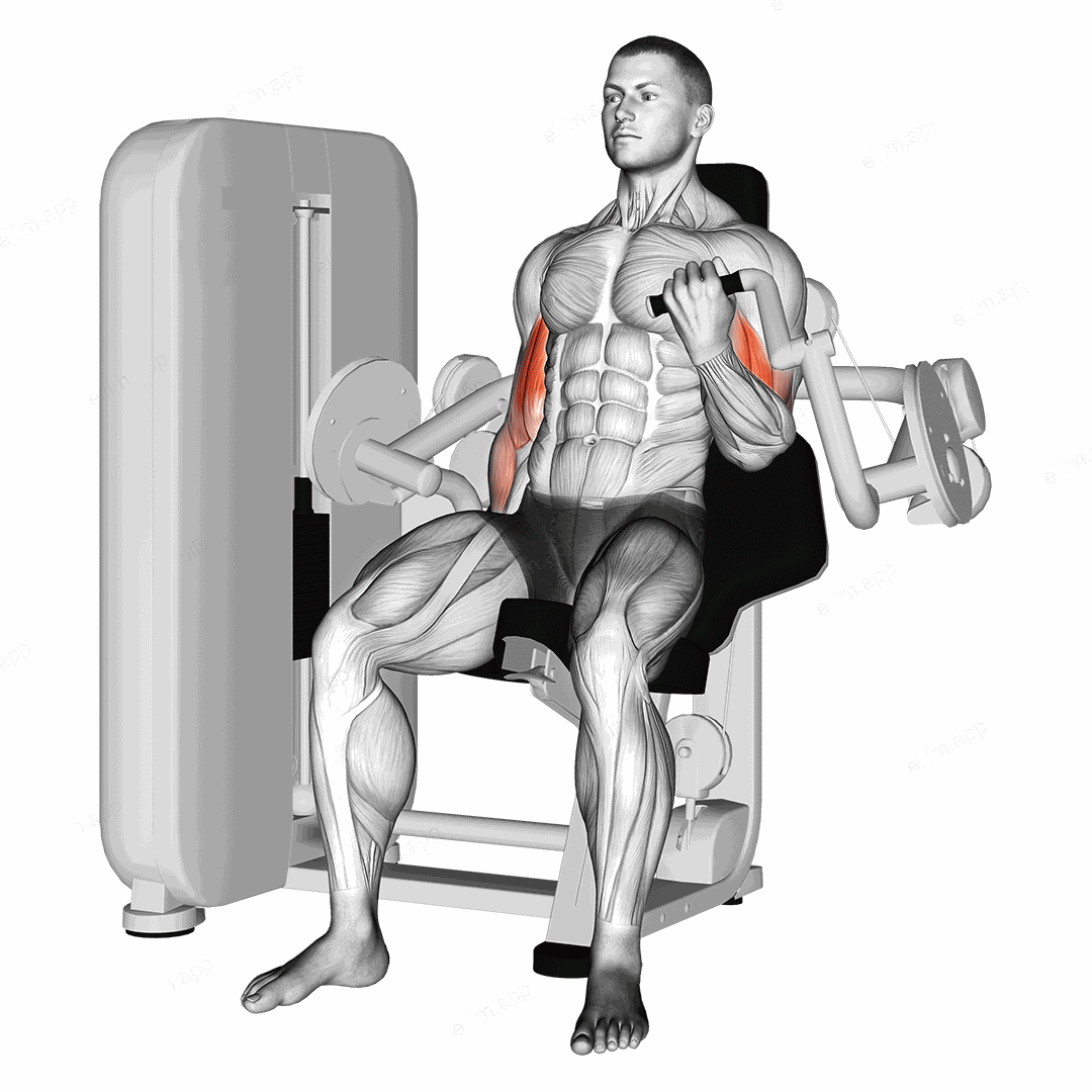 Lever Alternate Biceps Curl exercise targeting Upper Arms and Gluteus Medius