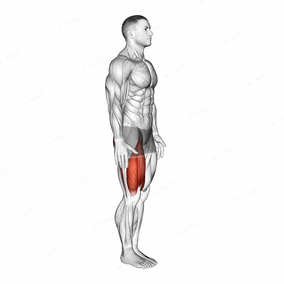 Knee Raise exercise targeting Thighs and Gluteus Maximus
