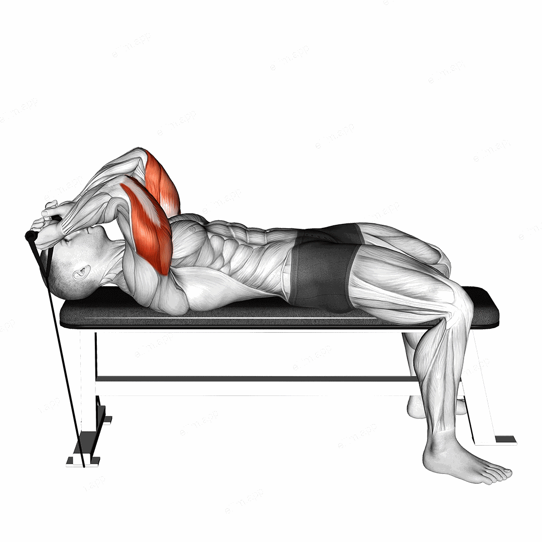 Band Skull Crusher exercise targeting Upper Arms