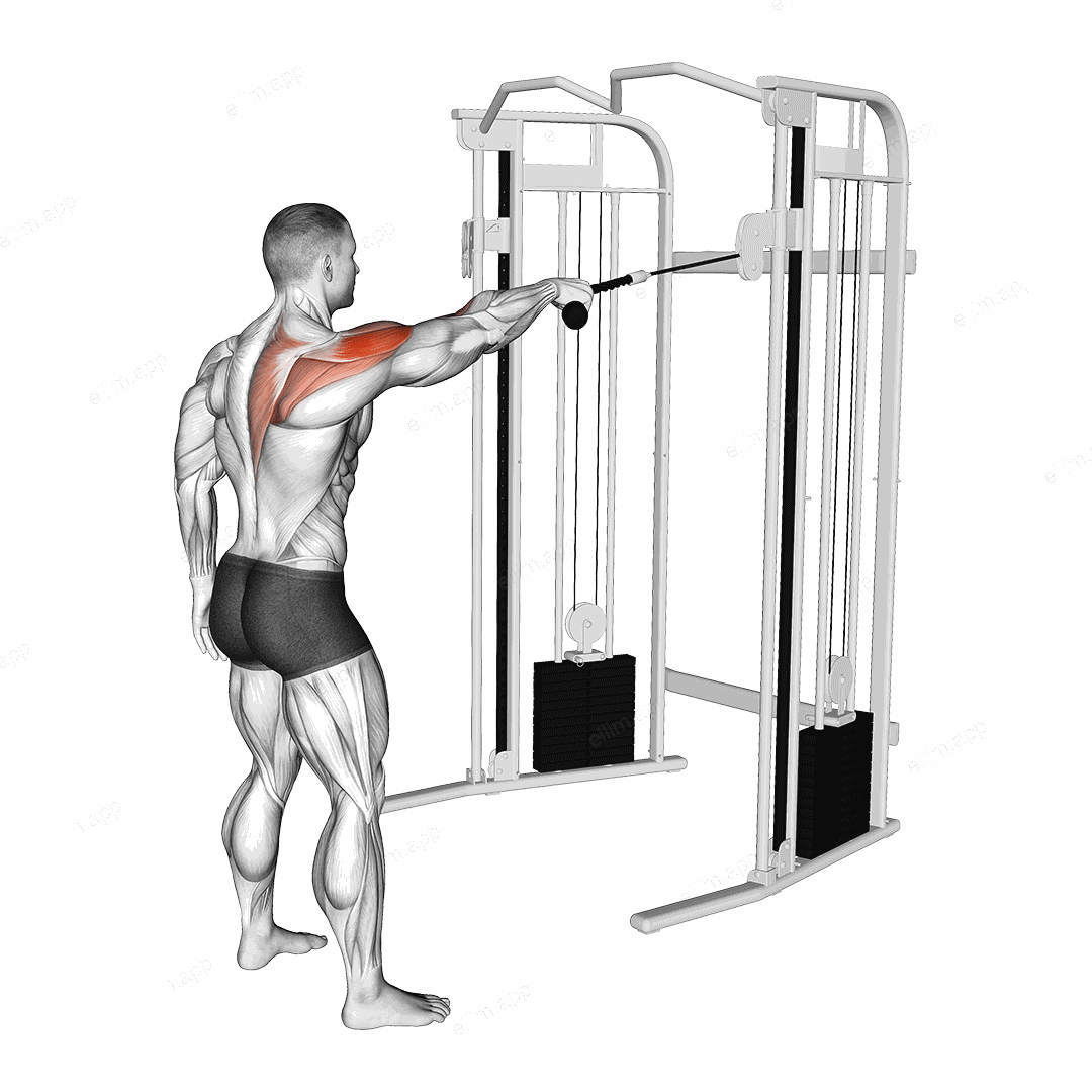 Cable Standing One Arm Face Pull exercise targeting Shoulders