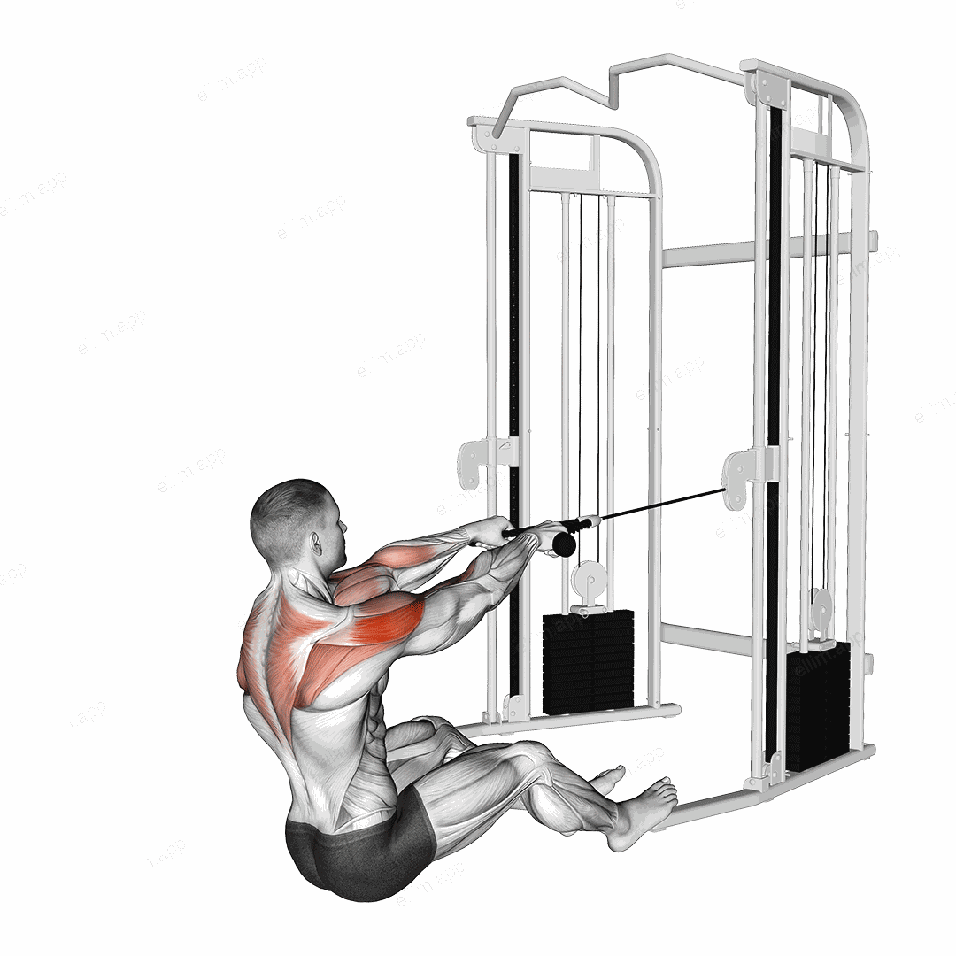 Cable Seated Face Pull (with rope) exercise targeting Shoulders