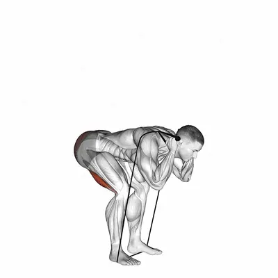 Band Good Morning exercise targeting Hips