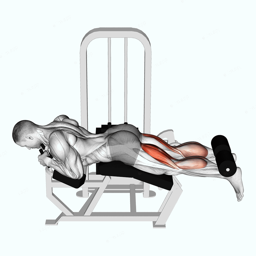 Lever Lying Two-One Leg Curl exercise targeting Thighs and Hamstrings