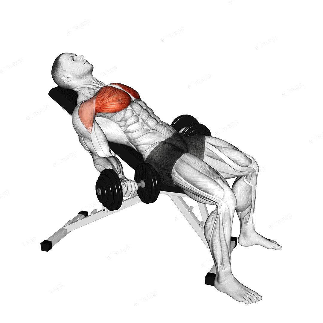 Dumbbell Incline Low Fly exercise targeting Chest