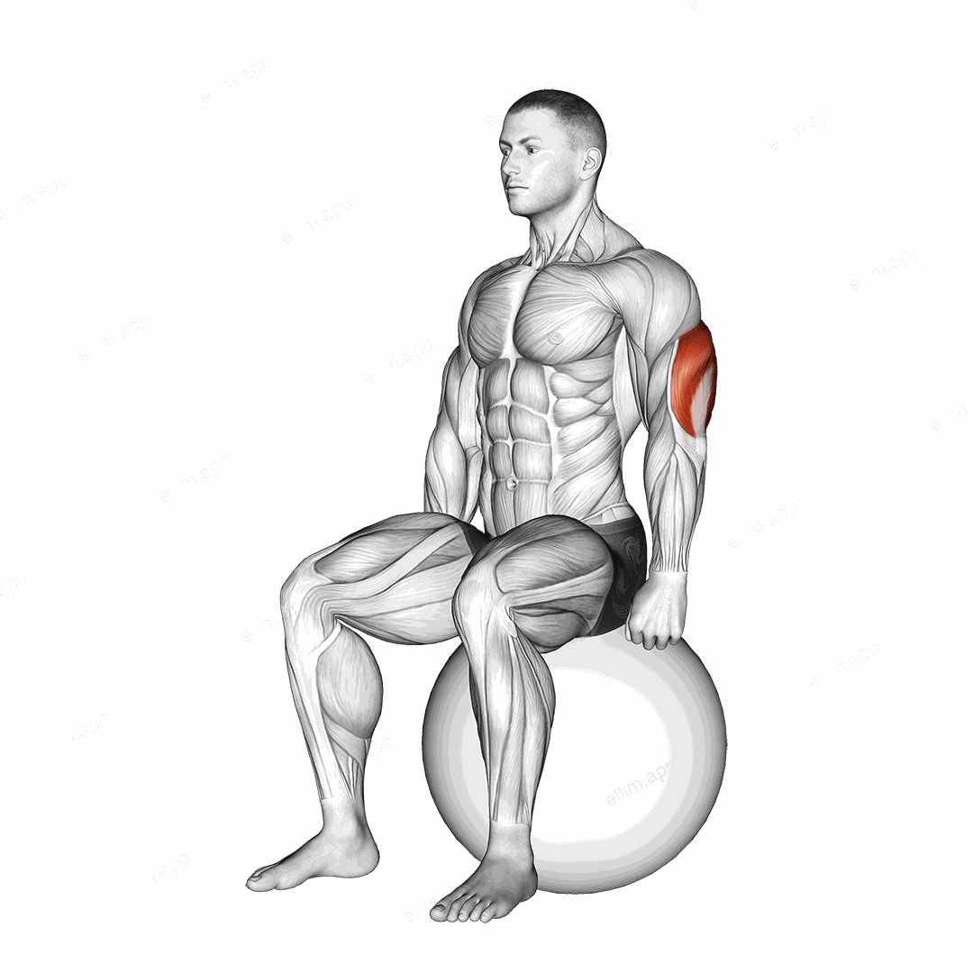 Exercise Ball Seated Triceps Stretch exercise targeting Upper Arms