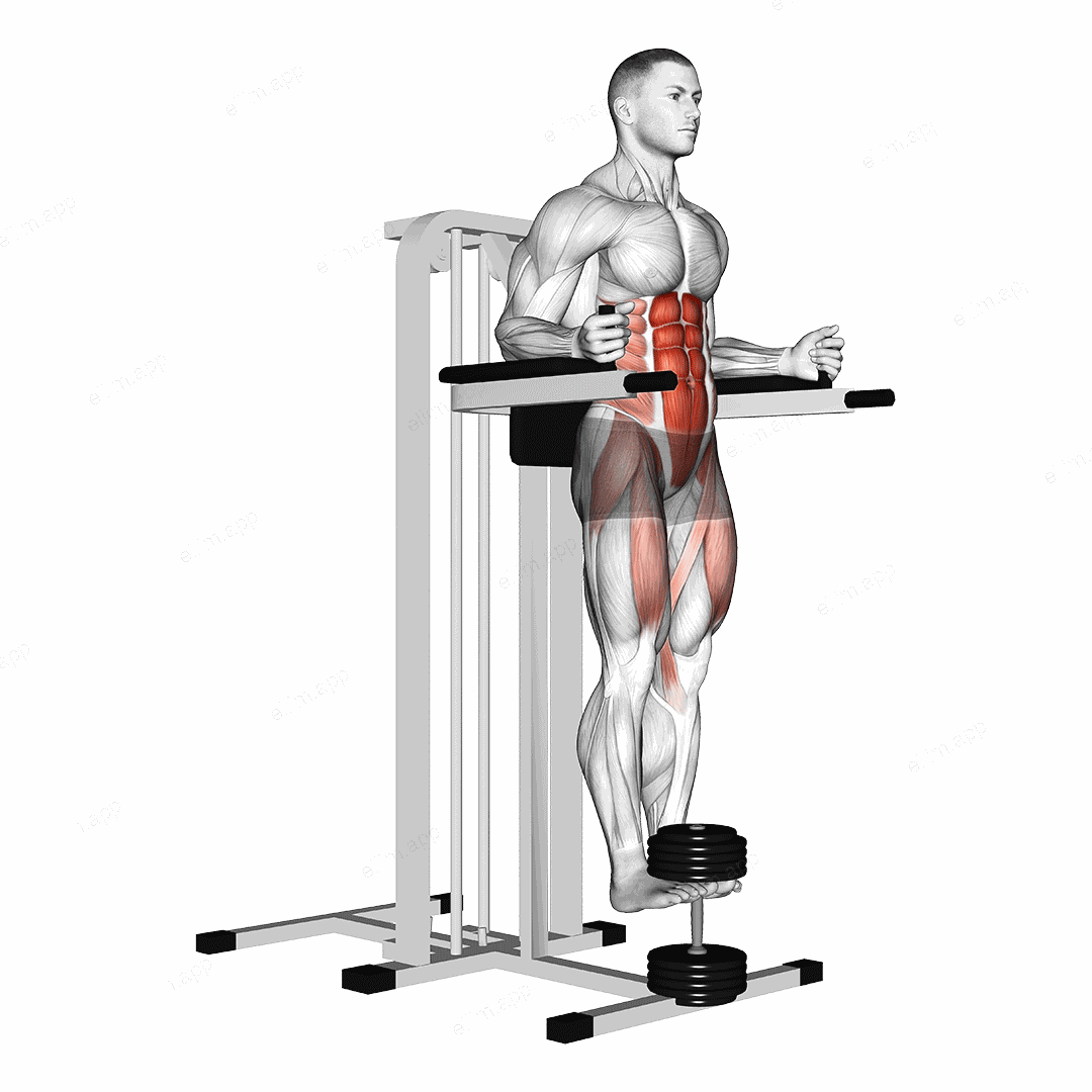 Weighted Captains chair leg raise exercise targeting Hips