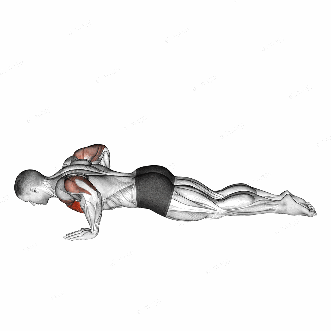 Kneeling Push-up exercise targeting Chest and Pectoralis Major Clavicular Head