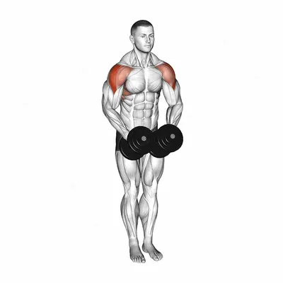 Dumbbell Standing Bent Arm Lateral raise exercise targeting Shoulders