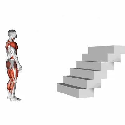 Stair Jump exercise targeting Plyometrics
