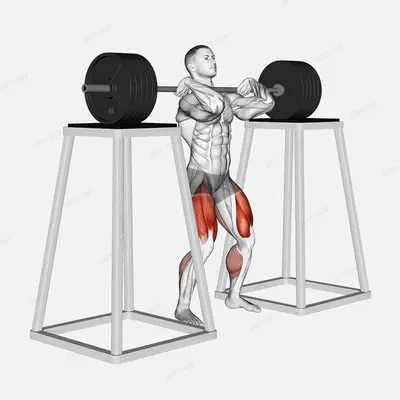 Barbell Front Squat (from blocks) exercise targeting Thighs and Gluteus Maximus