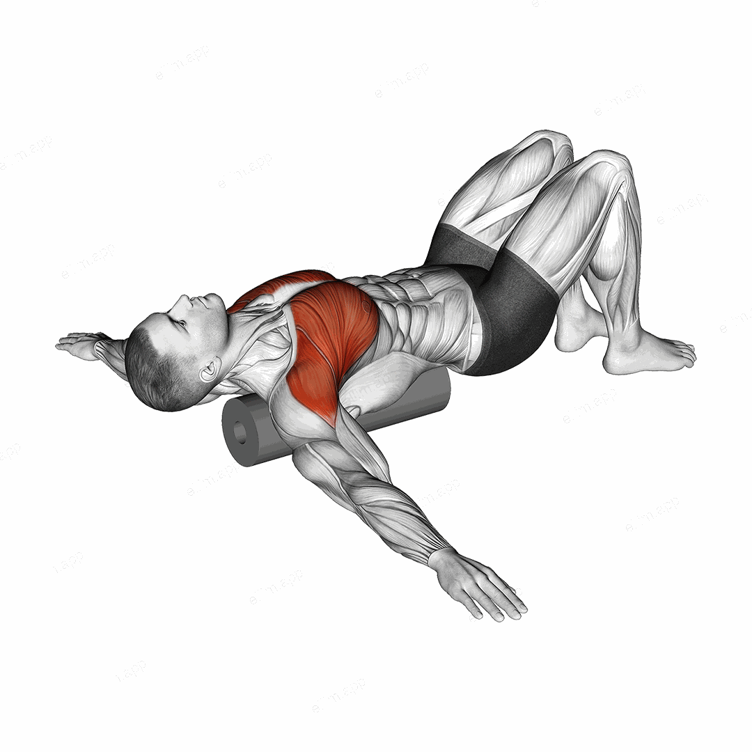 Roll Chest Opener Lying on Floor exercise targeting Chest
