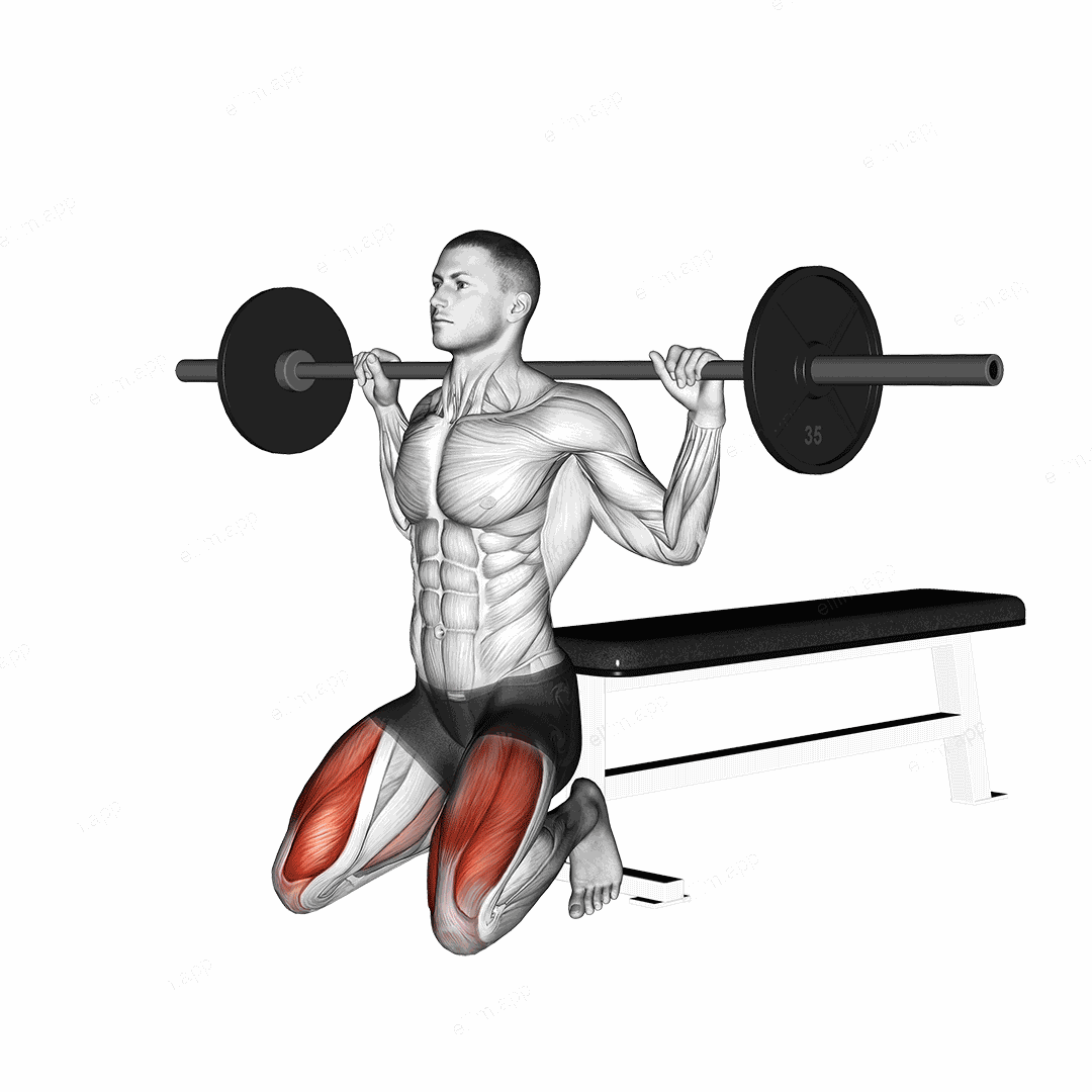Barbell Squat (on knees) exercise targeting Thighs and Quadriceps