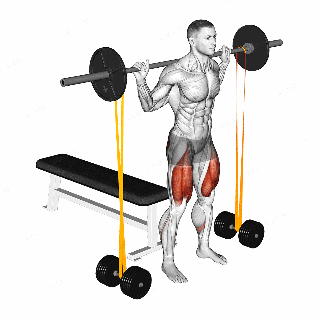 Barbell Banded Bench Squat exercise targeting Thighs