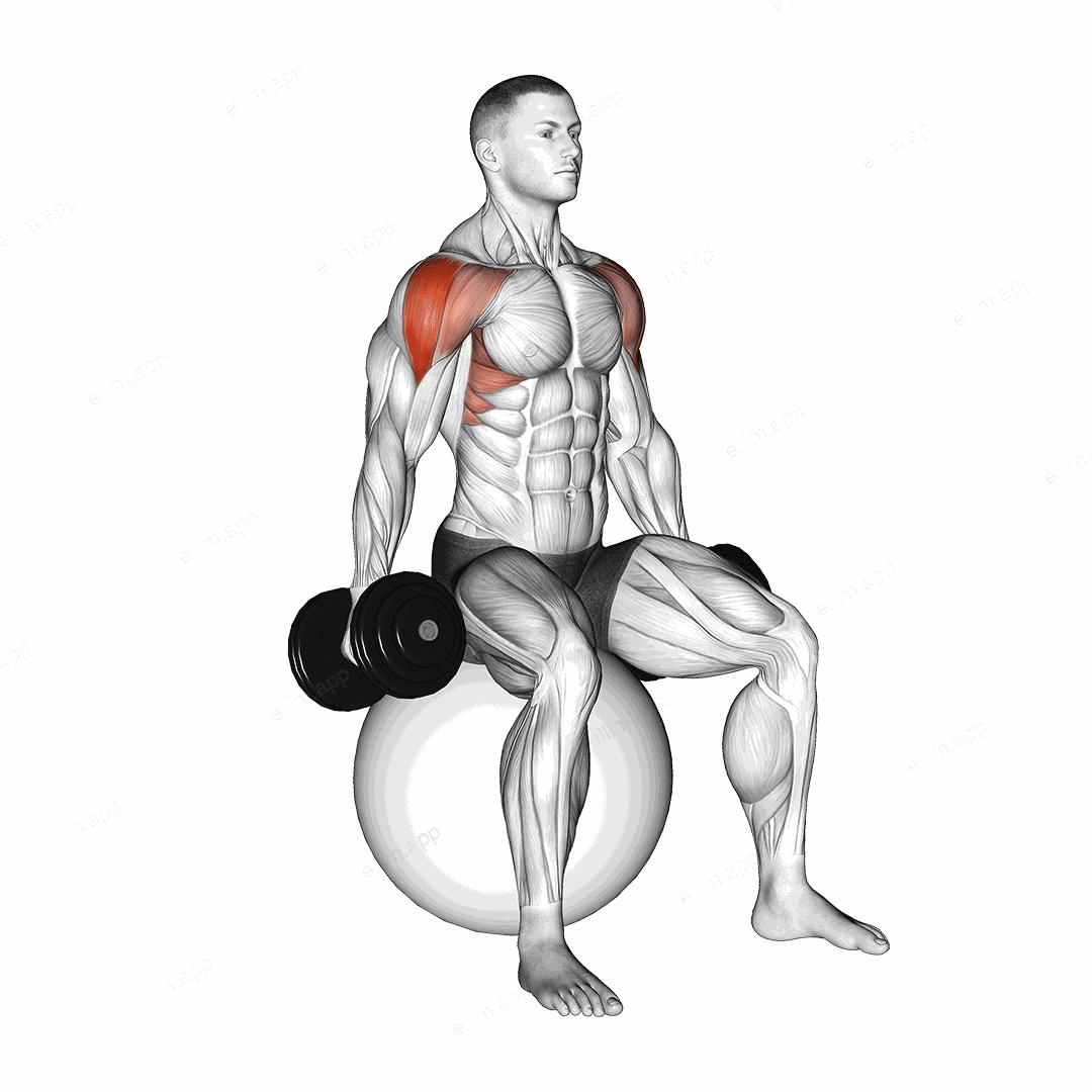 Dumbbell Seated Lateral Raise on Stability Ball exercise targeting Shoulders