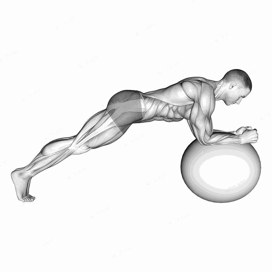 Stability Ball Front Plank exercise targeting Waist