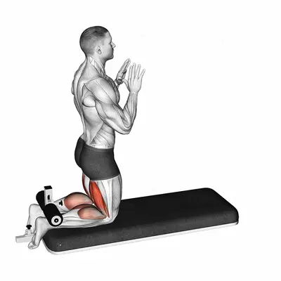 Inverse Leg Curl with Bench Pads exercise targeting Thighs
