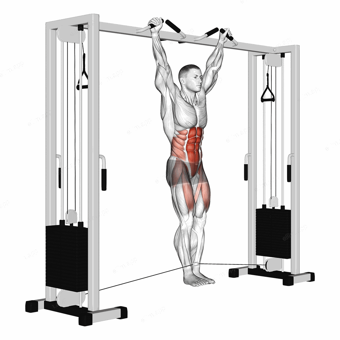 Cable Hanging Leg Raise exercise targeting Waist and Iliopsoas