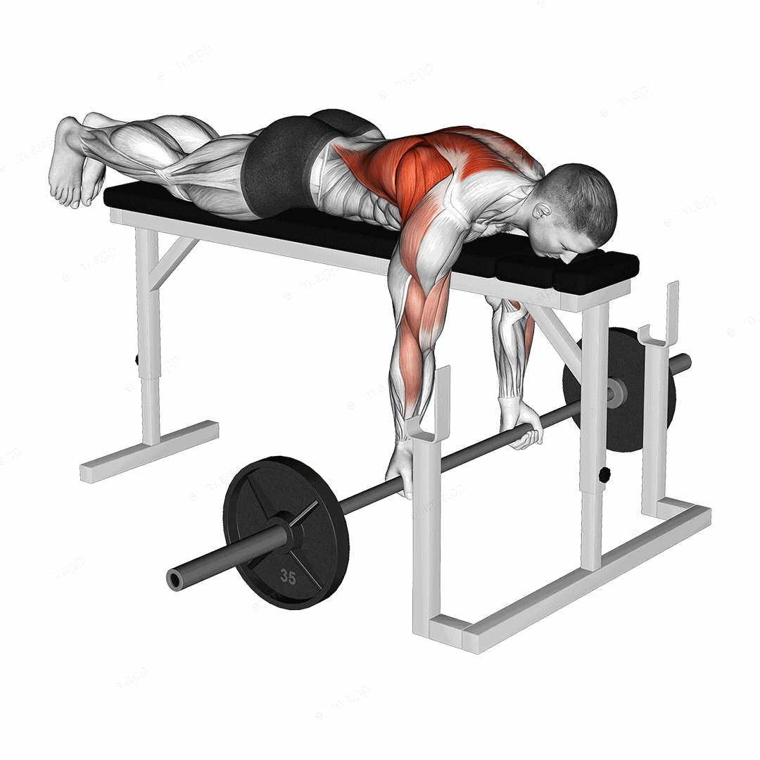 Barbell Lying Close Grip Underhand Row on Rack exercise targeting Back