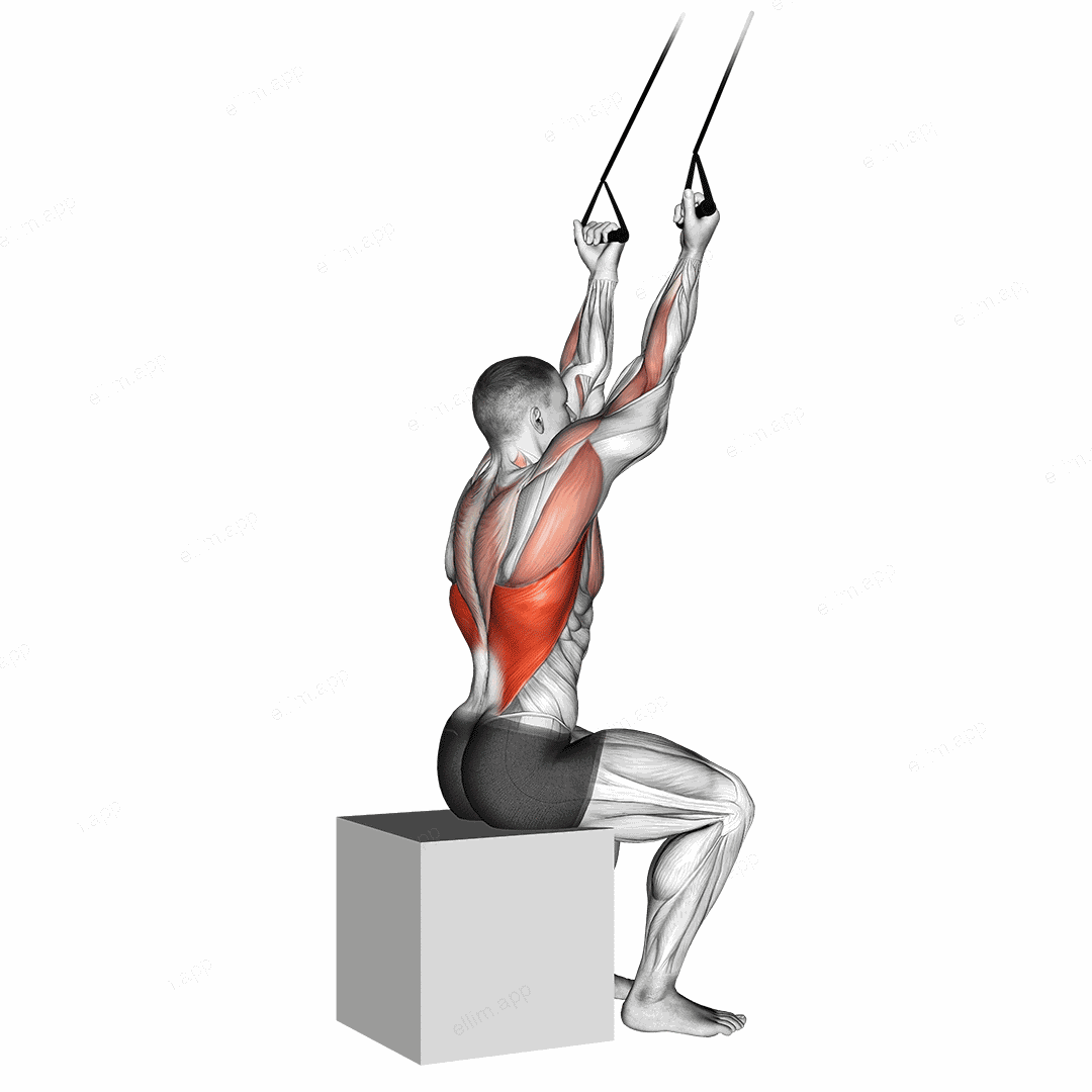 Band underhand pulldown exercise targeting Back and Latissimus Dorsi
