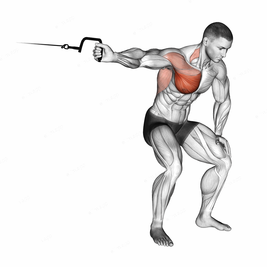 Cable One Arm Lateral Bent over exercise targeting Chest