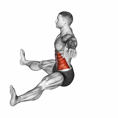 Seated Twist (Straight Arm) exercise targeting Waist and Obliques