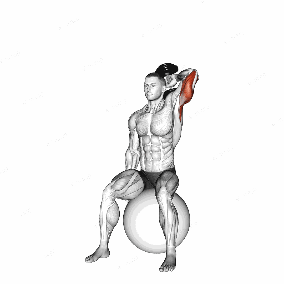 Dumbbell One Arm Triceps Extension on Stability Ball exercise targeting Upper Arms
