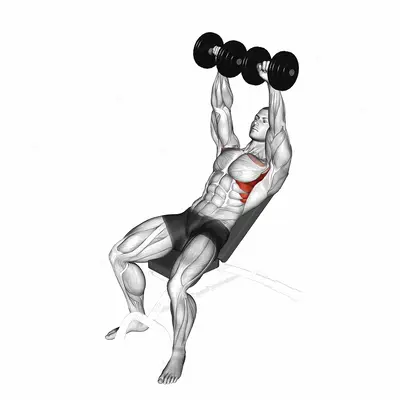 Dumbbell Incline Shoulder Raise exercise targeting Chest and Serratus Anterior